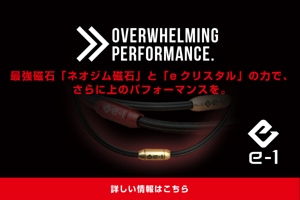 e-1ネックは管理医療機器です