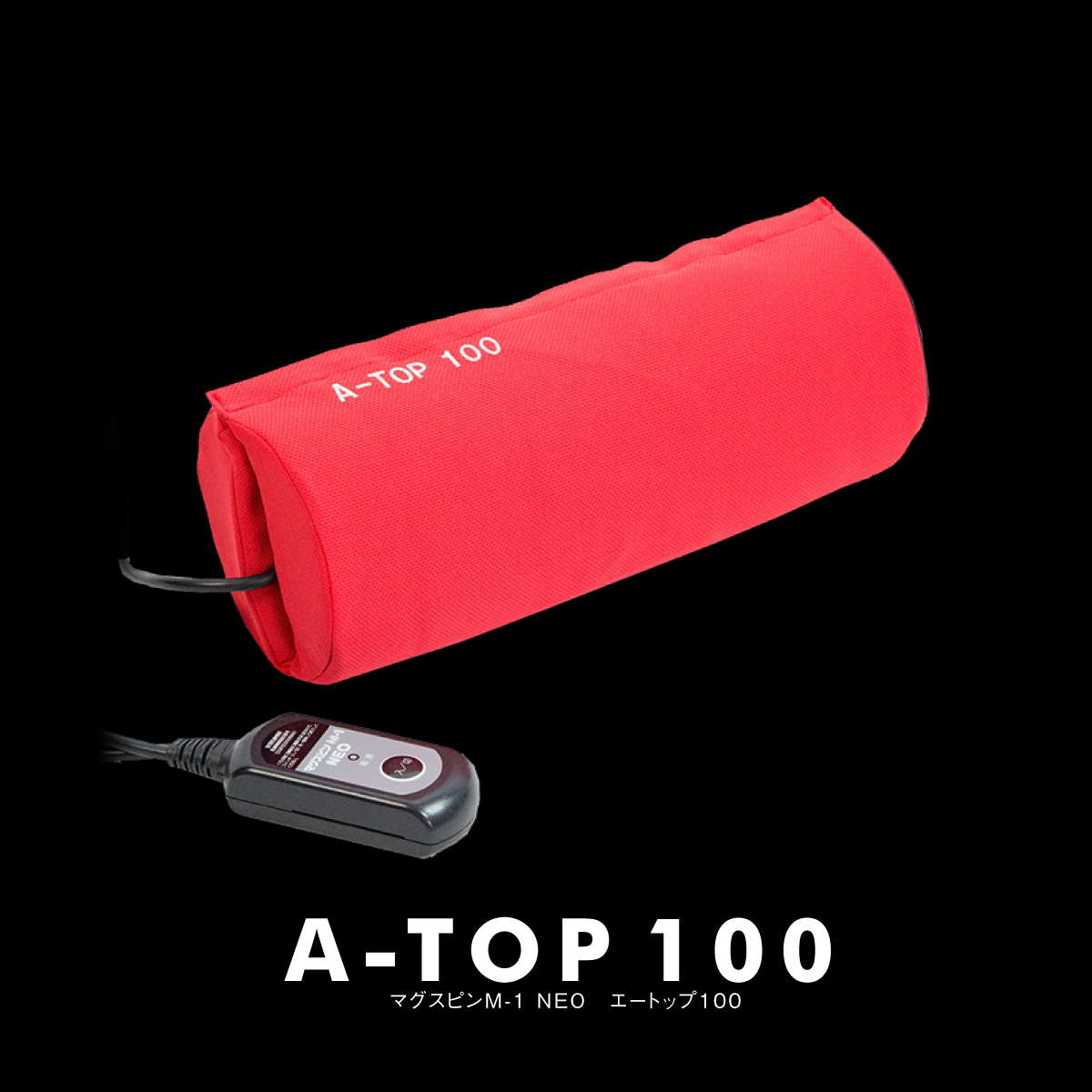 A-TOP100